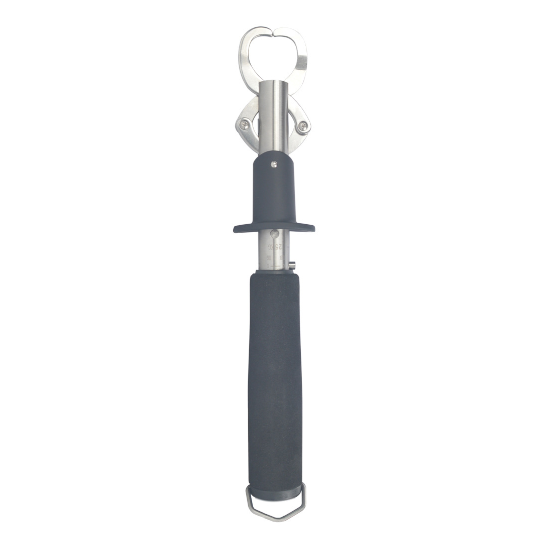 New 25kg Weight Scale Fish Lip - Fishing 评论和价格